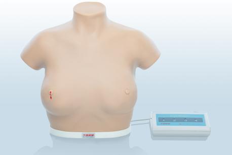 電子乳腺癌觸診、視診訓練模型